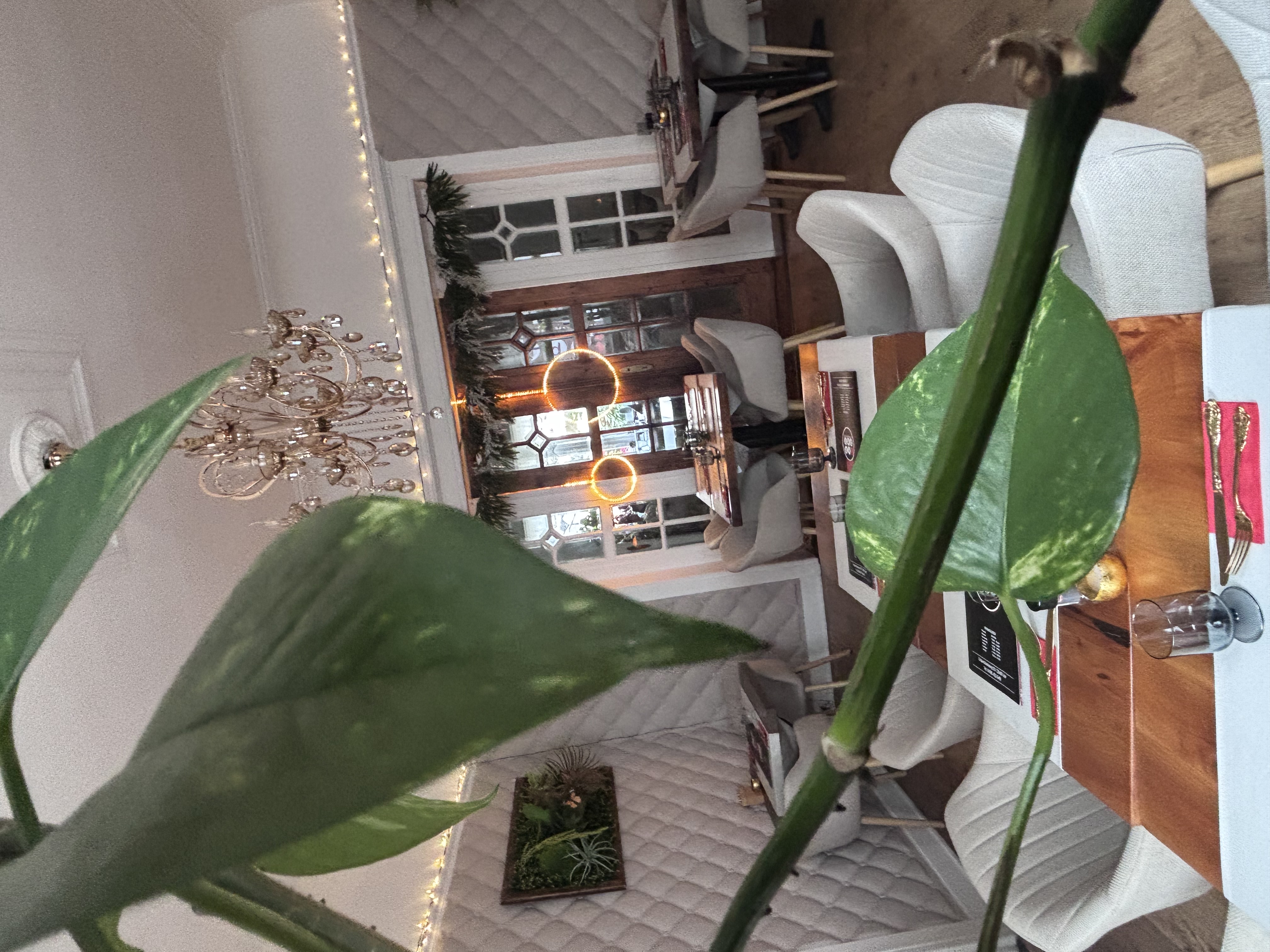 Gallery 15